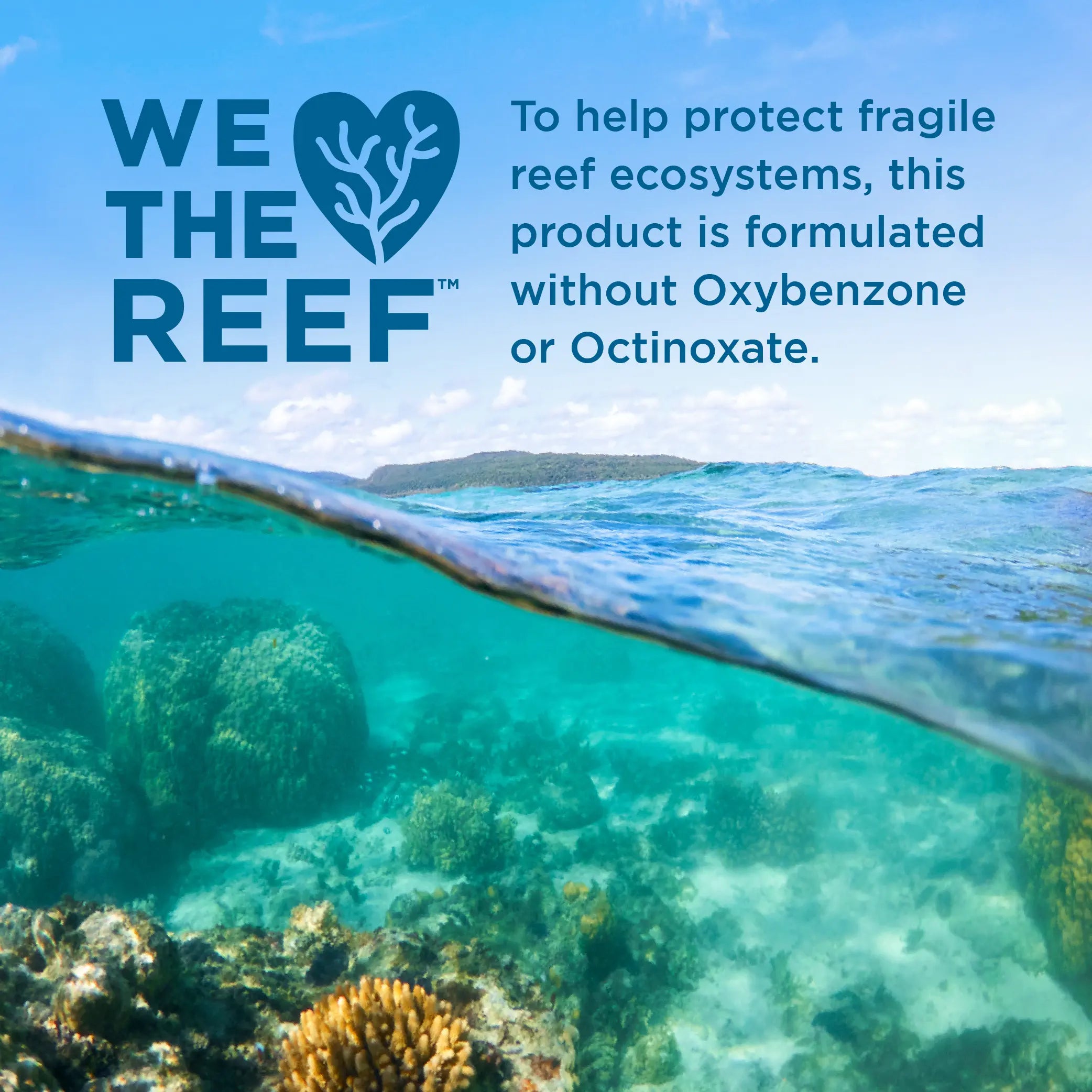 Statement 'We Love the Reef' with a view of a coral reef and ocean.