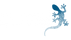 bluelizardsunscraen - Home